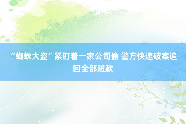 “蜘蛛大盗”紧盯着一家公司偷 警方快速破案追回全部赃款