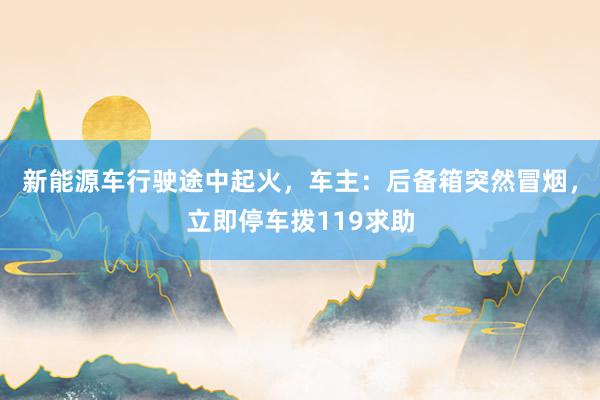 新能源车行驶途中起火，车主：后备箱突然冒烟，立即停车拨119求助