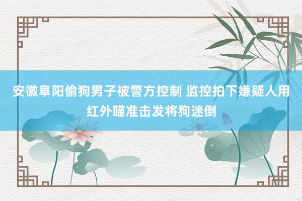 安徽阜阳偷狗男子被警方控制 监控拍下嫌疑人用红外瞄准击发将狗迷倒