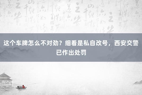 这个车牌怎么不对劲？细看是私自改号，西安交警已作出处罚