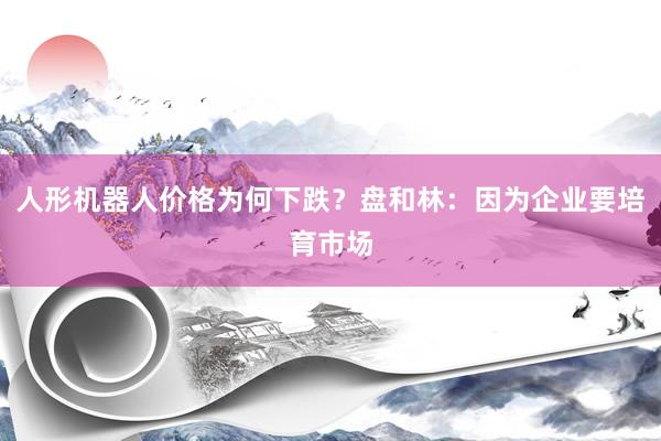 人形机器人价格为何下跌？盘和林：因为企业要培育市场
