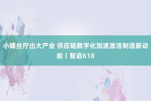 小螺丝拧出大产业 供应链数字化加速激活制造新动能丨智启618