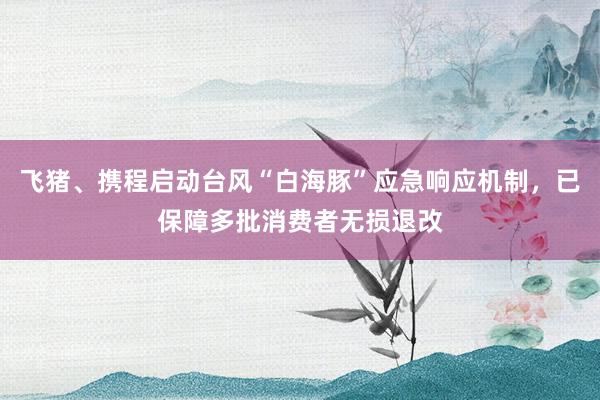 飞猪、携程启动台风“白海豚”应急响应机制,已保障多批消费者无损退改