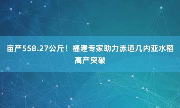 亩产558.27公斤！福建专家助力赤道几内亚水稻高产突破