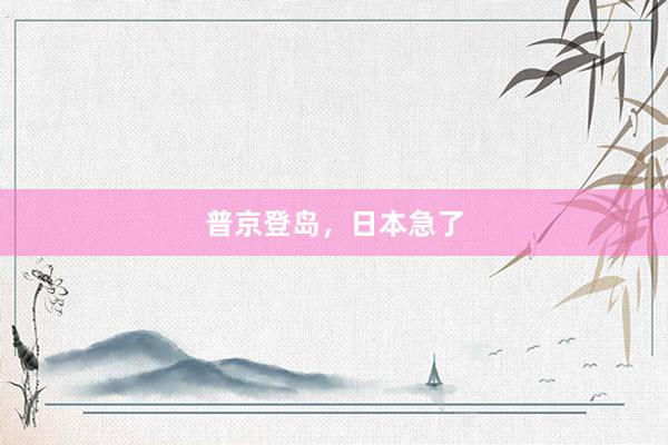 普京登岛，日本急了