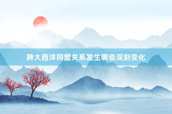 跨大西洋同盟关系发生哪些深刻变化