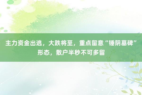 主力资金出逃，大跌将至，重点留意“锤阴墓碑”形态，散户半秒不可多留