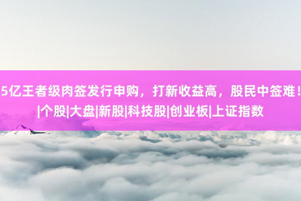 5亿王者级肉签发行申购，打新收益高，股民中签难！|个股|大盘|新股|科技股|创业板|上证指数