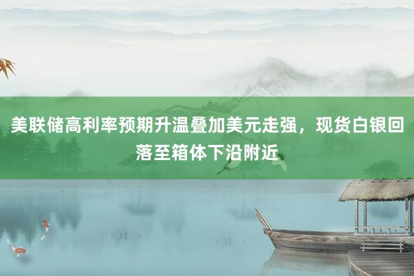 美联储高利率预期升温叠加美元走强，现货白银回落至箱体下沿附近