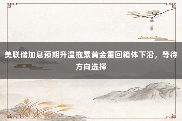 美联储加息预期升温拖累黄金重回箱体下沿，等待方向选择