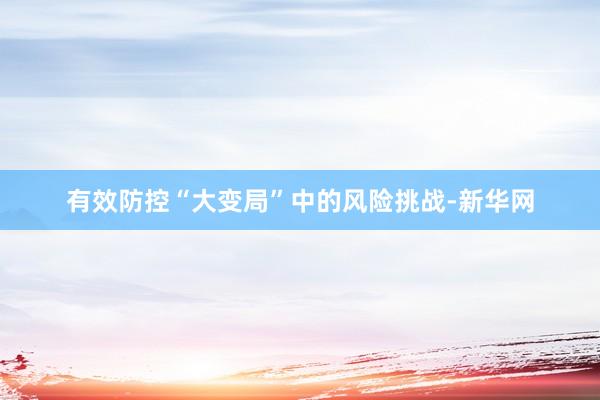 有效防控“大变局”中的风险挑战-新华网