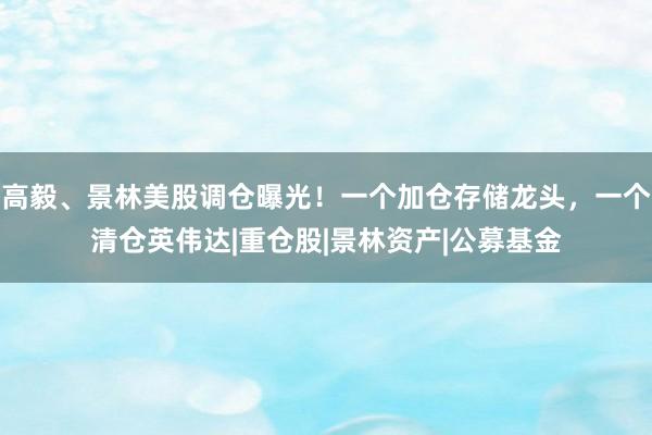 高毅、景林美股调仓曝光！一个加仓存储龙头，一个清仓英伟达|重仓股|景林资产|公募基金