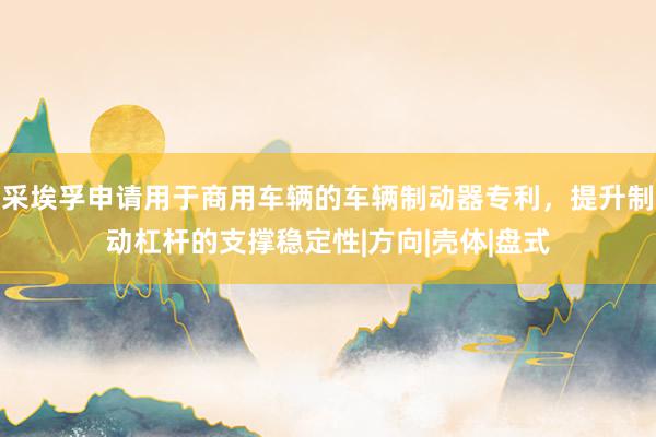 采埃孚申请用于商用车辆的车辆制动器专利，提升制动杠杆的支撑稳定性|方向|壳体|盘式