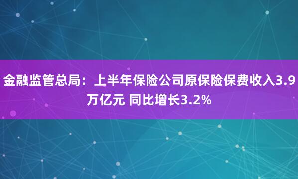 金融监管总局：上半年保险公司原保险保费收入3.9万亿元 同比增长3.2%
