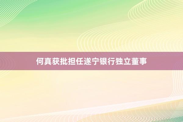 何真获批担任遂宁银行独立董事