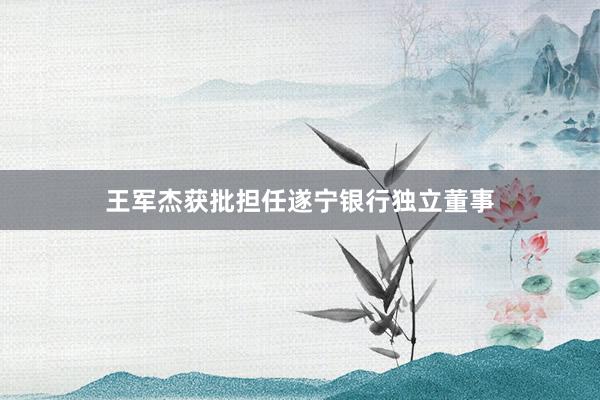 王军杰获批担任遂宁银行独立董事