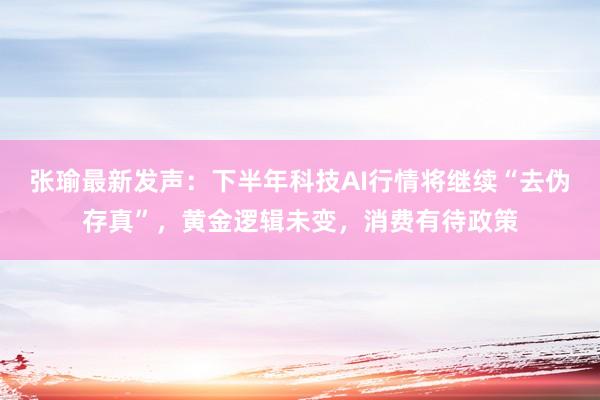 张瑜最新发声：下半年科技AI行情将继续“去伪存真”，黄金逻辑未变，消费有待政策