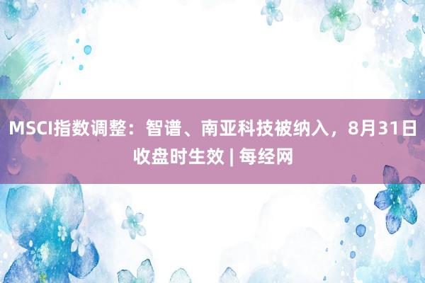 MSCI指数调整：智谱、南亚科技被纳入，8月31日收盘时生效 | 每经网