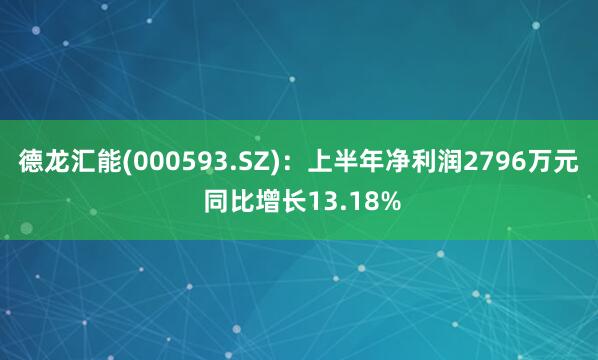 德龙汇能(000593.SZ)：上半年净利润2796万元 同比增长13.18%