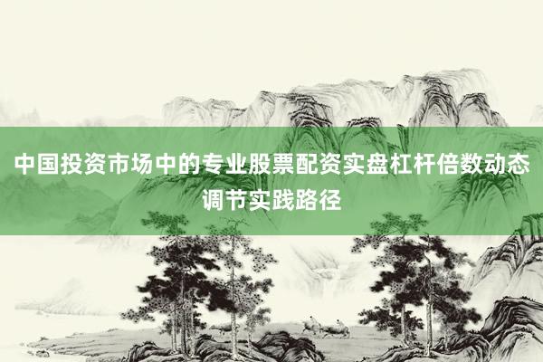 中国投资市场中的专业股票配资实盘杠杆倍数动态调节实践路径