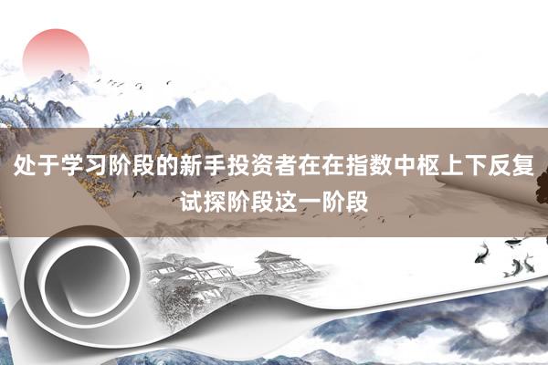 处于学习阶段的新手投资者在在指数中枢上下反复试探阶段这一阶段
