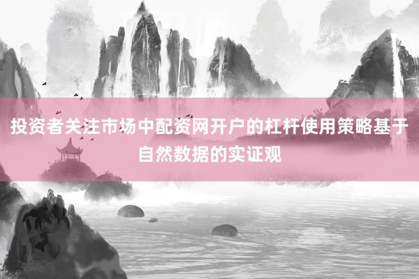 投资者关注市场中配资网开户的杠杆使用策略基于自然数据的实证观