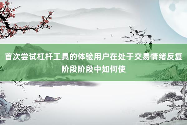 首次尝试杠杆工具的体验用户在处于交易情绪反复阶段阶段中如何使