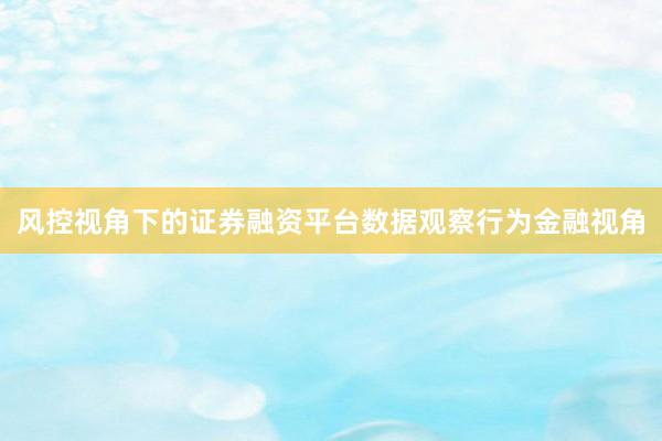 风控视角下的证券融资平台数据观察行为金融视角