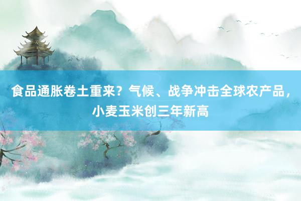 食品通胀卷土重来？气候、战争冲击全球农产品，小麦玉米创三年新高