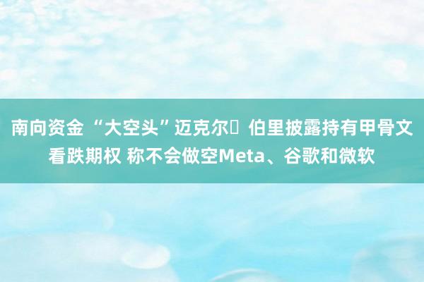 南向资金 “大空头”迈克尔・伯里披露持有甲骨文看跌期权 称不会做空Meta、谷歌和微软