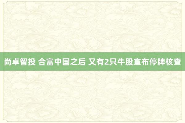 尚卓智投 合富中国之后 又有2只牛股宣布停牌核查