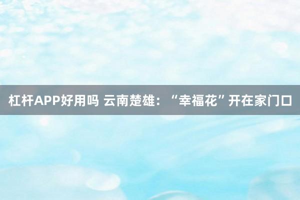 杠杆APP好用吗 云南楚雄：“幸福花”开在家门口