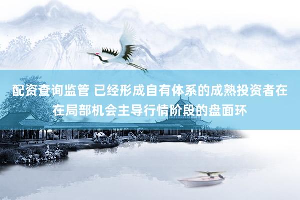 配资查询监管 已经形成自有体系的成熟投资者在在局部机会主导行情阶段的盘面环