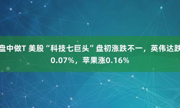 盘中做T 美股“科技七巨头”盘初涨跌不一，英伟达跌0.07%，苹果涨0.16%