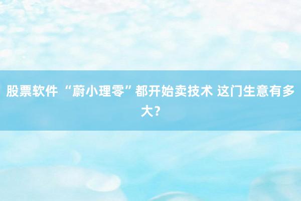 股票软件 “蔚小理零”都开始卖技术 这门生意有多大？