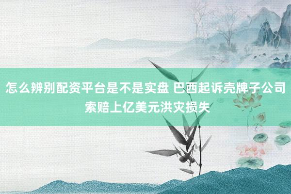 怎么辨别配资平台是不是实盘 巴西起诉壳牌子公司 索赔上亿美元洪灾损失