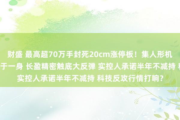 财盛 最高超70万手封死20cm涨停板！集人形机器人+AI眼镜+储能于一身 长盈精密触底大反弹 实控人承诺半年不减持 科技反攻行情打响？