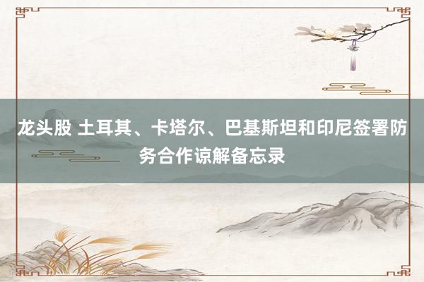 龙头股 土耳其、卡塔尔、巴基斯坦和印尼签署防务合作谅解备忘录