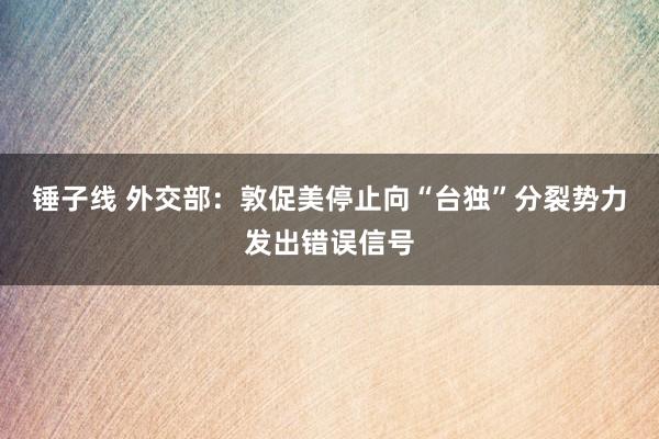 锤子线 外交部：敦促美停止向“台独”分裂势力发出错误信号